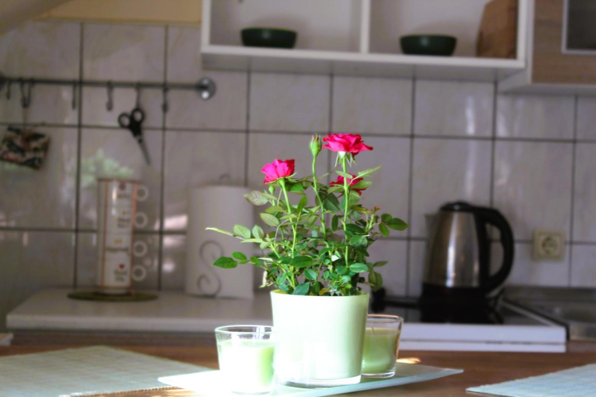 Svila Apartmani Bihać Esterno foto